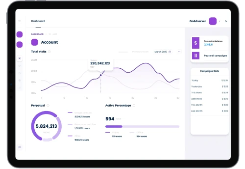 Dashboard showing detailed analysis of users, total visits and advertising campaign metrics